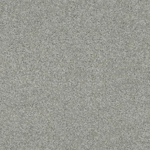 Cool Grey carpet swatch